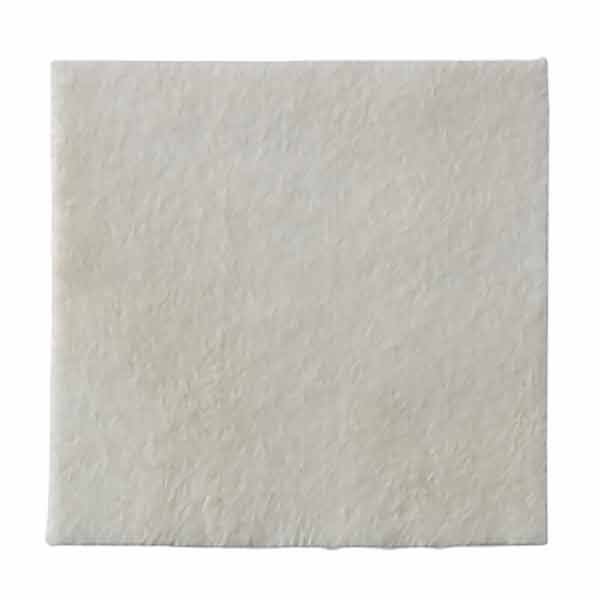 Biatain Alginate Silver 10x10cm - Biatain product image for SEO optimization