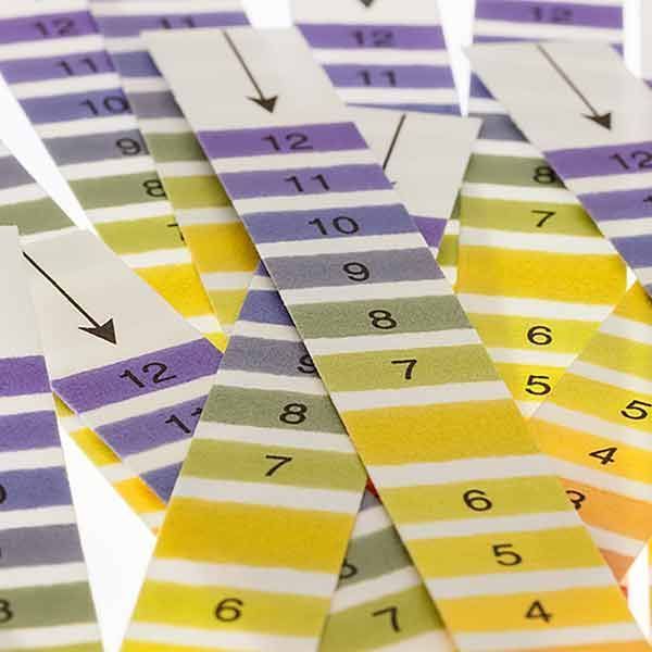 Medicina pH Indicator Strips Pack 200 - Medicina product image for SEO optimization